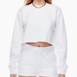 Aritzia cropped sweatshirt and boyfriend shorts set